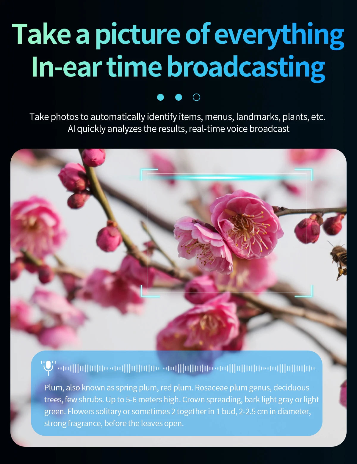 AI Smart Translate Glasses Photography Video Wifi Transmission Bluetooth Call Music Play Smart Glasses for Studying Travaling