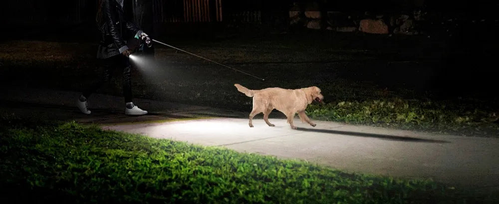 BORUiT U6 SST20 LED EDC Flashlight Keychain Work Light Type-C Rechargeable Clip Torch with Magnet Camping Pocket Lantern